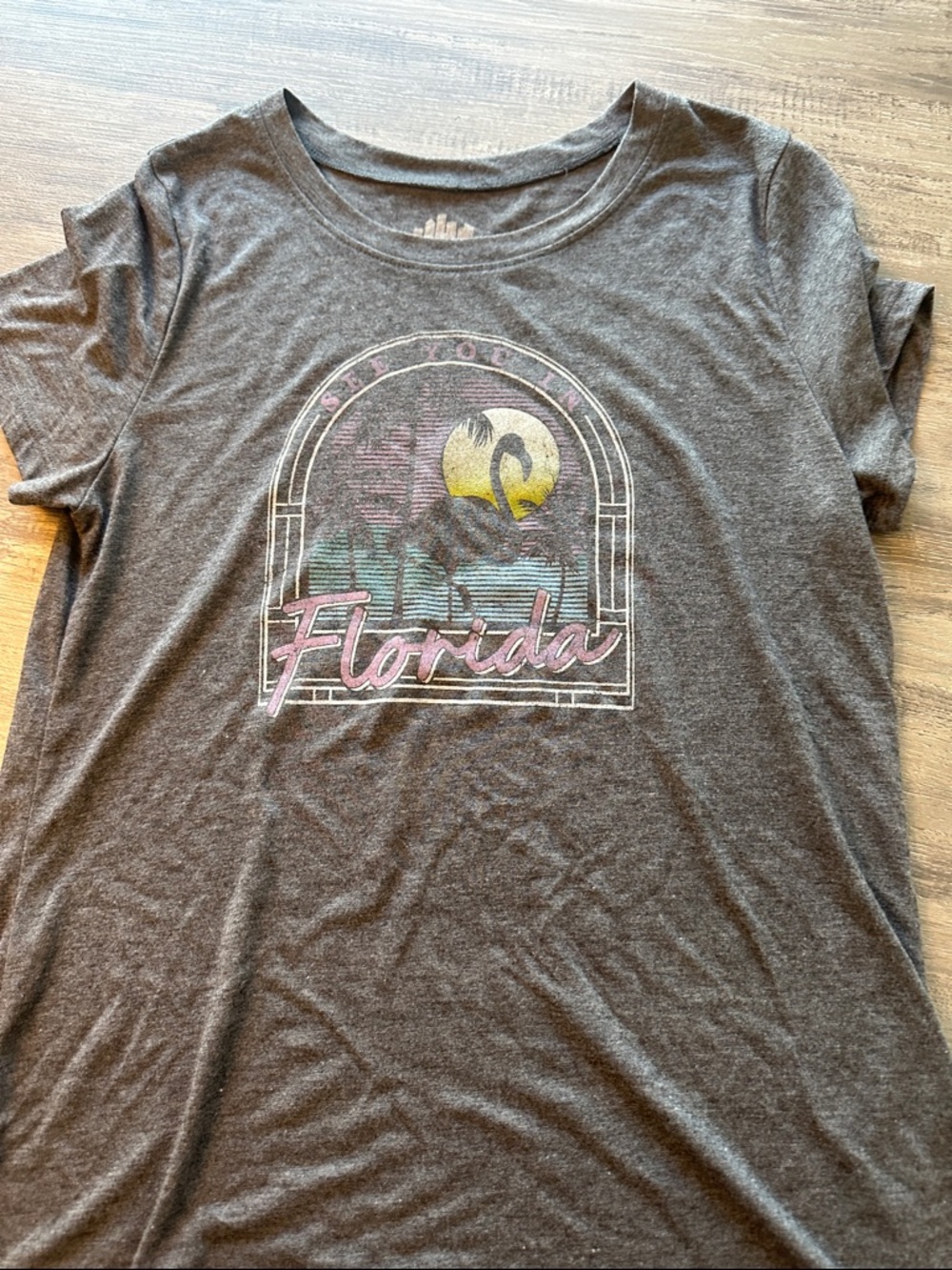 Florida Graphic Tee - Gray with Pastel Print
